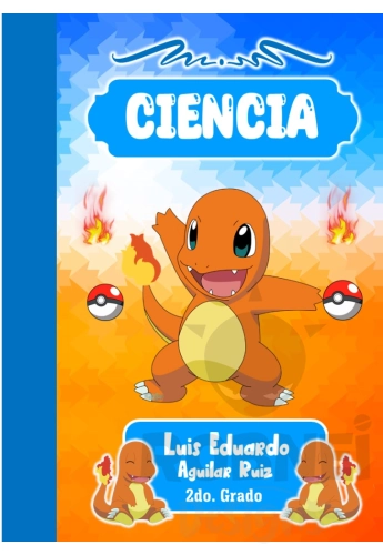 Charmander Pokemon 01 Portada